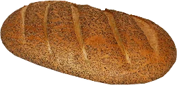 Barkis ca