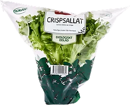 Crispsallat Kruka KRAV Hällnäs Handelsträdgård