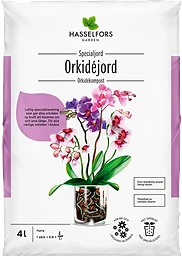 Orkidéjord