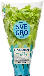 Sallat Grön Kruka Eko