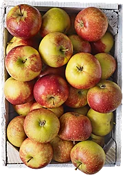 Äpple