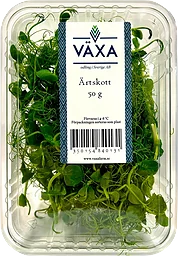 Ärtskott