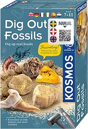 Dig Out Fossils Science Kit