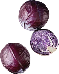 Rödkål