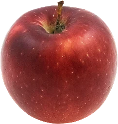 Äpple Cosmic Crisp Klass 1
