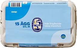 Ägg 15-pack M Frigående inomhus