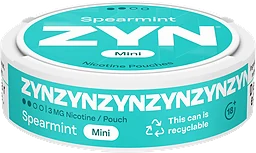 Spearmint Mini S2