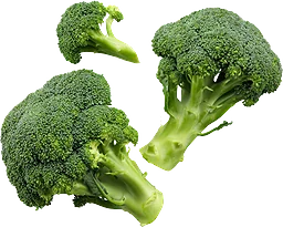 Broccoli Eko