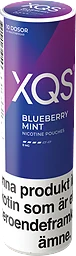 Blueberry Mint Str