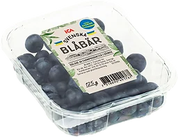 Blåbär klass 1