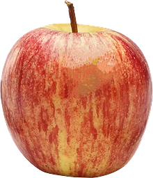 Äpple Gala PL 1000 Gra