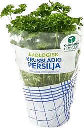 Kruspersilja