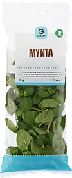 Mynta Klass 1