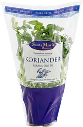 Koriander Eko Kruka