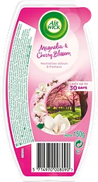 Mangolia& Cherry Blossom