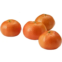 Småcitrus Nadorcott 4-pack Klass 1