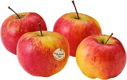 Äpple Rubinola 4-pack Klass 1