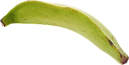 Kokbanan