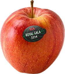 Äpple Royal Gala ca Klass 1