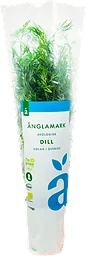 Dill Eko