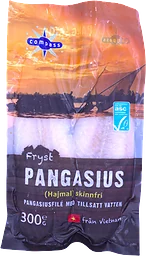 Pangasiusfilé