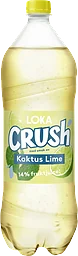 Kolsyrat vatten Kaktus/Lime