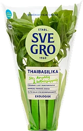 Thaibasilika i kruka Ekologisk 1-p KRAV