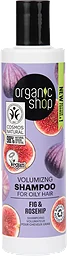 Schampo Fikon & Nypon