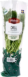 Dill Kruka KRAV Handelsträdgård Klass 1 ICA