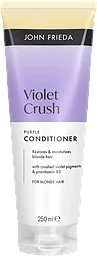 Balsam Purple