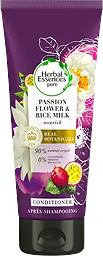 Balsam Passion flower