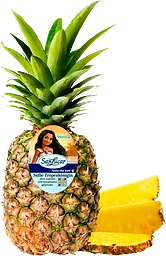 Ananas Ätmogen 1570g Klass 1 San Lucar