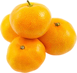Clementin Klass 1