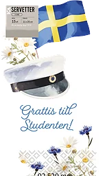 Servett 20cm Student 15-p