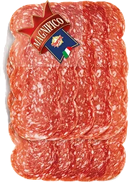 Magnifico