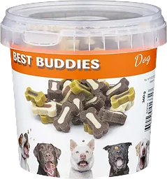 Best Buddies Hundben