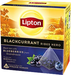 Svart te Blackcurrant 20-pack