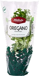 Oregano Kruka KRAV Hällnäs Handelsträdgård