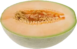 Melon Cantaloup