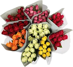 Rosor 50 cm Fairtrade mix