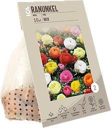 Ranunkel Mix Garden