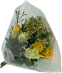 Rosor m limonium