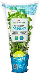 Oregano vertikalodlad 1-p Klass 1