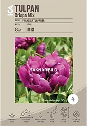Tulpan Crispa Mix 8-p Garden