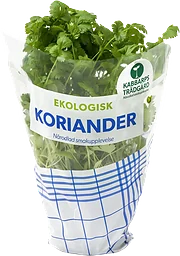 Koriander Ekologisk 1-p