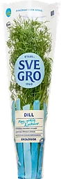 Ekologisk Dill i kruka 1-p Klass 1 ICA
