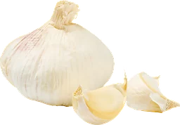 Vitlök