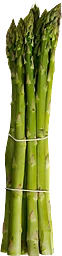Sparris
