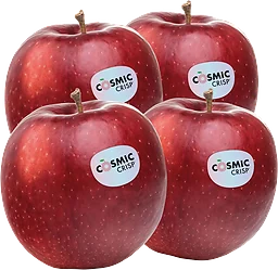 Äpple Cosmic crisp 4-p Klass 1