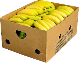 Bananlåda Eko 18Kg
